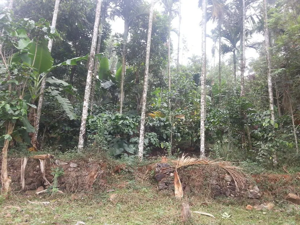 Spice Garden Farm House Sultan Bathery India