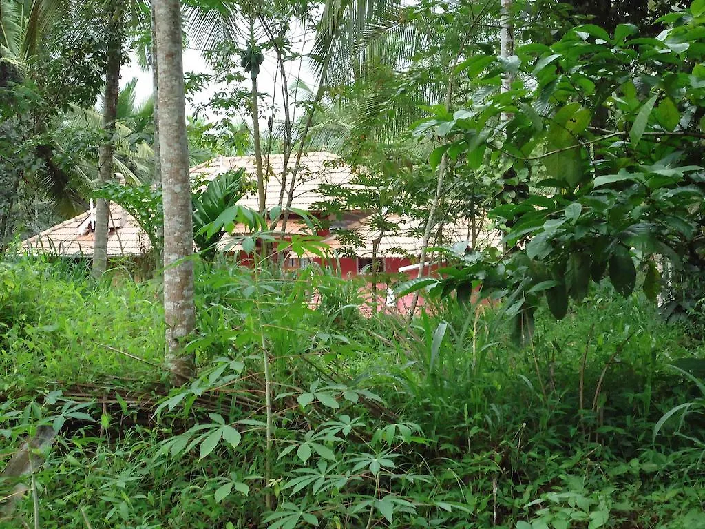 Spice Garden Farm House Sultan Bathery 0*,