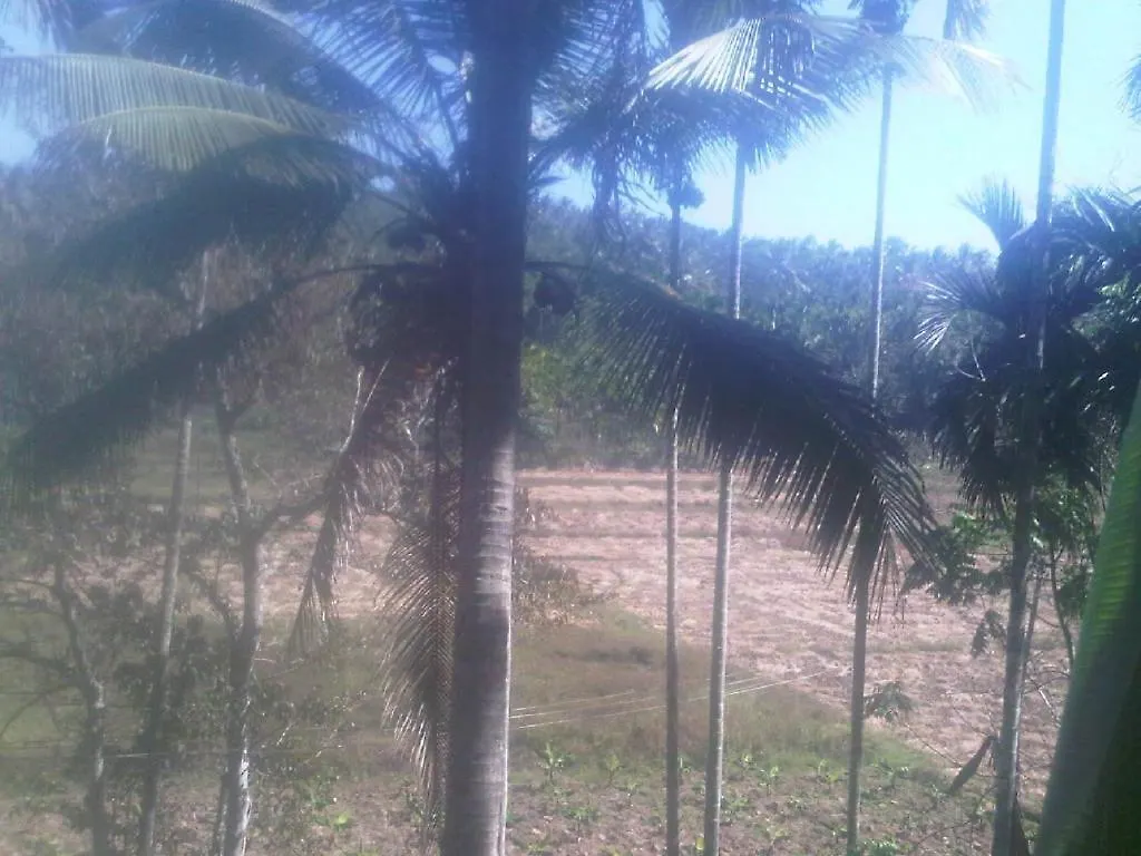 Farm stay Spice Garden Farm House Sultan Bathery