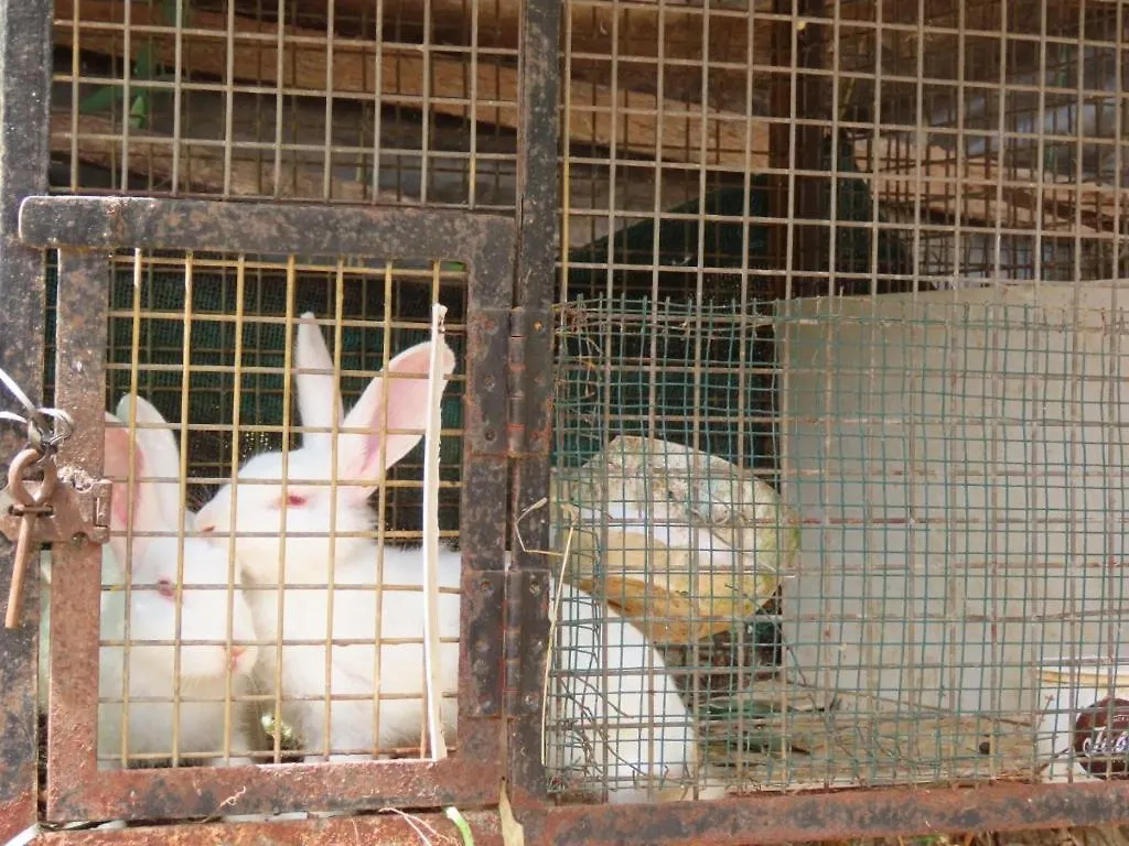 בית חווה סולטאן באטרי Spice Garden Farm House הודו